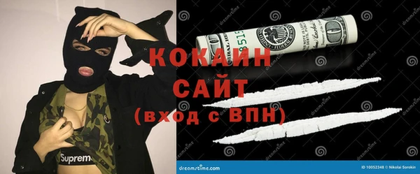 ешки Аркадак