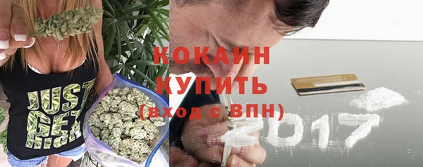 тгк Арсеньев