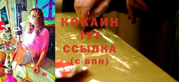 ешки Аркадак